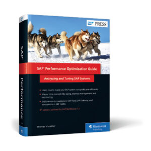 SAP Performance Optimization Guide