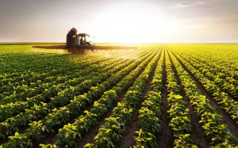 Azul-e-Preto-Cronograma-Apresentacao