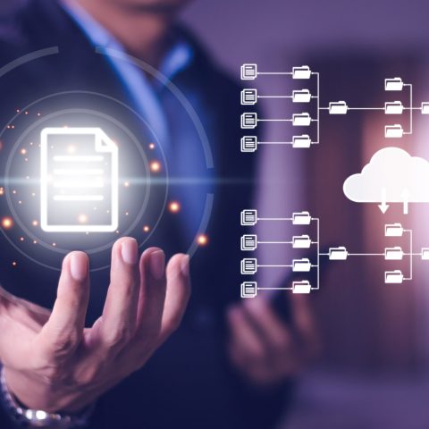 Como-preparar-o-SAP-ECC