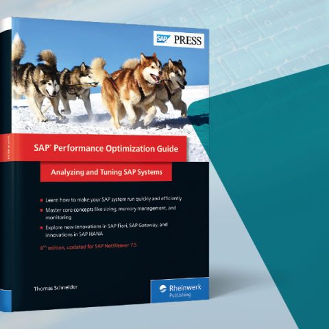 Guia de Otimização de Performance SAP