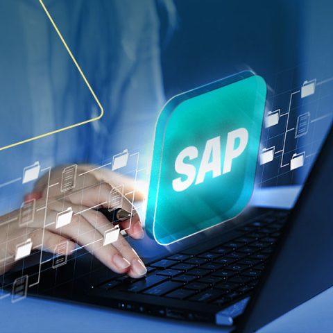Sua empresa usa o ERP SAP há mais de 5 anos?